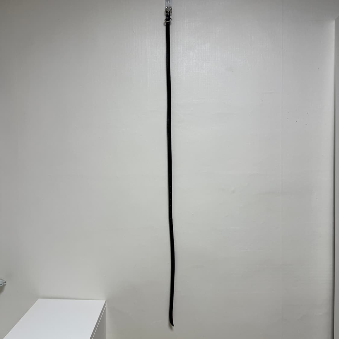 Tail Belt Black 상품이미지2