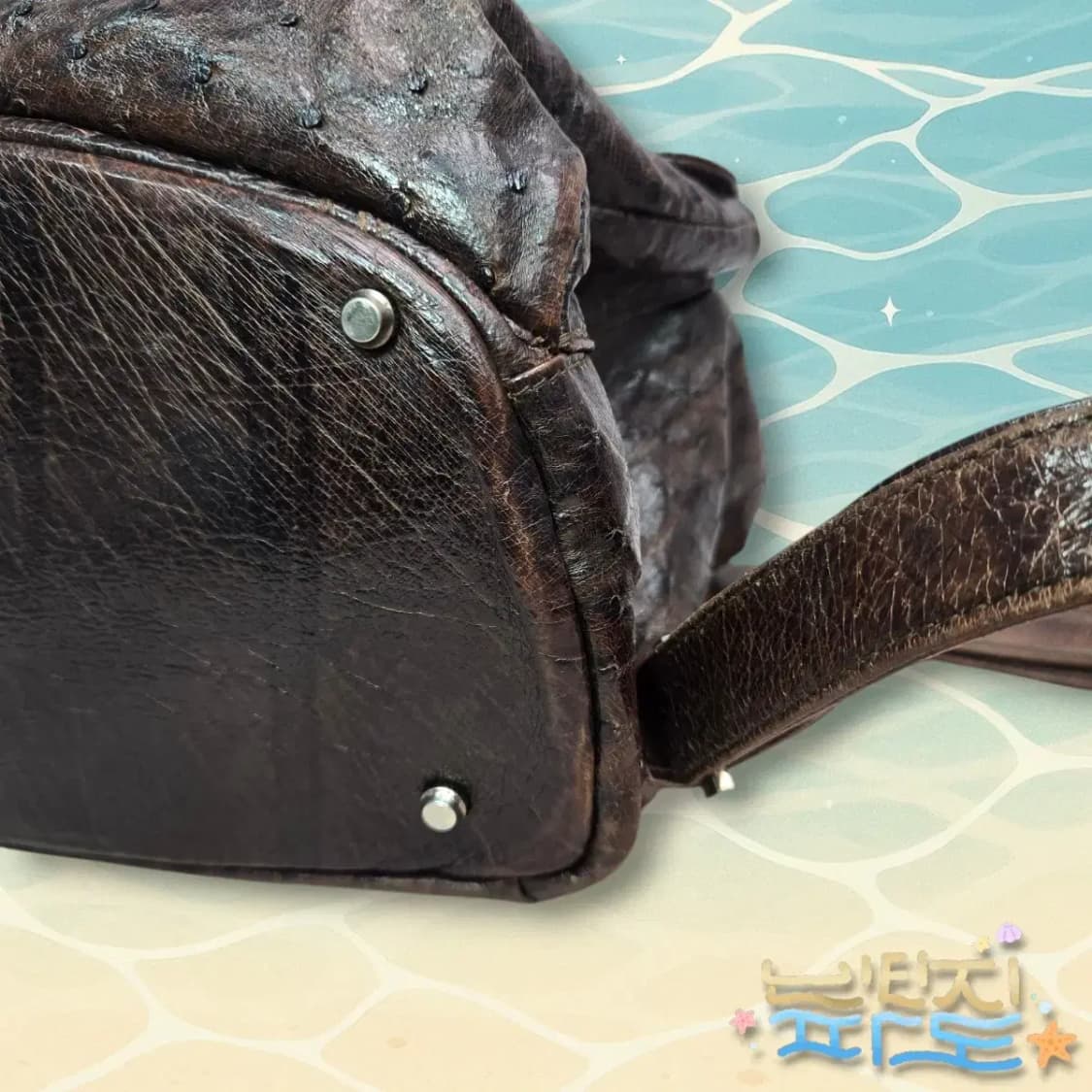 감정서O COLOMBO 콜롬보 오스트리치 백팩 상품이미지8