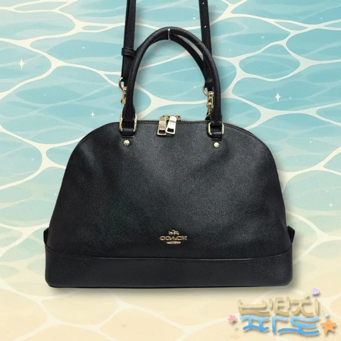 COACH 코치 시에라 사첼 토트 크로스백 상품이미지2