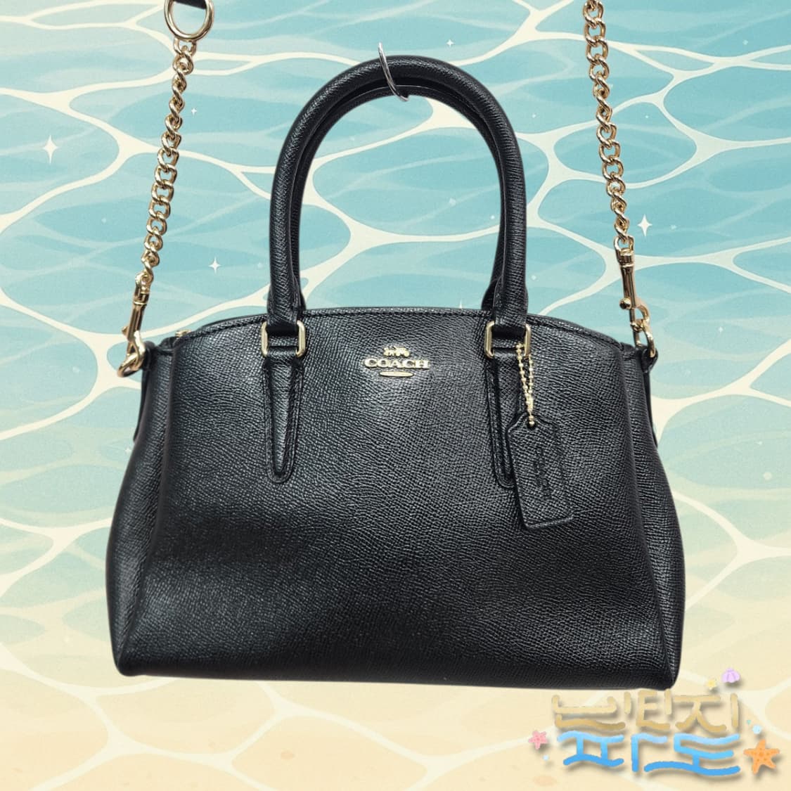 코치 미니 캐리올 숄더백 토트백 상품이미지2