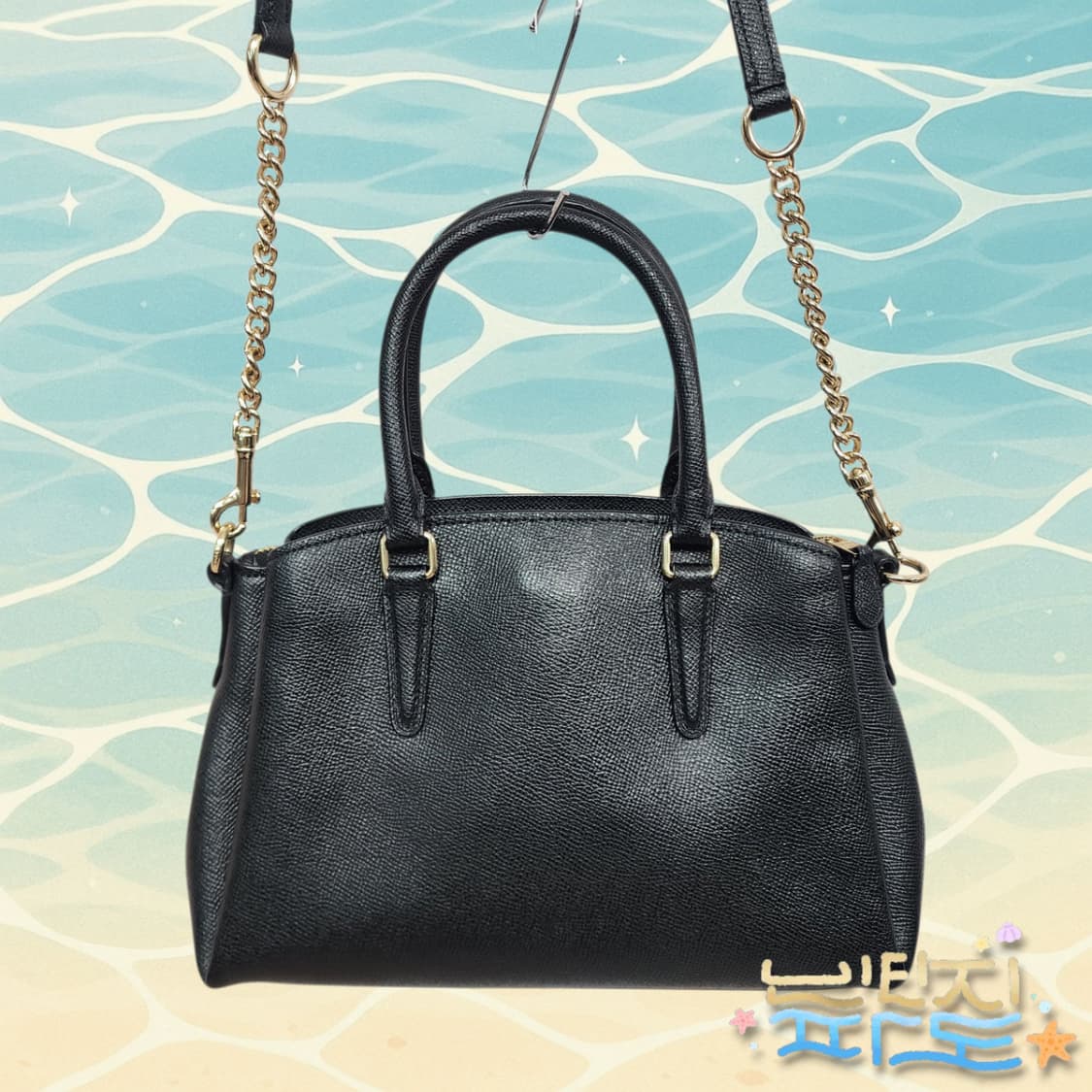 코치 미니 캐리올 숄더백 토트백 상품이미지3