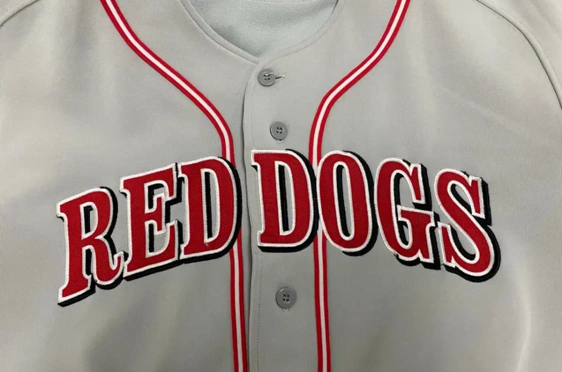 RED DOGS 베이스볼 져지 L 상품이미지4