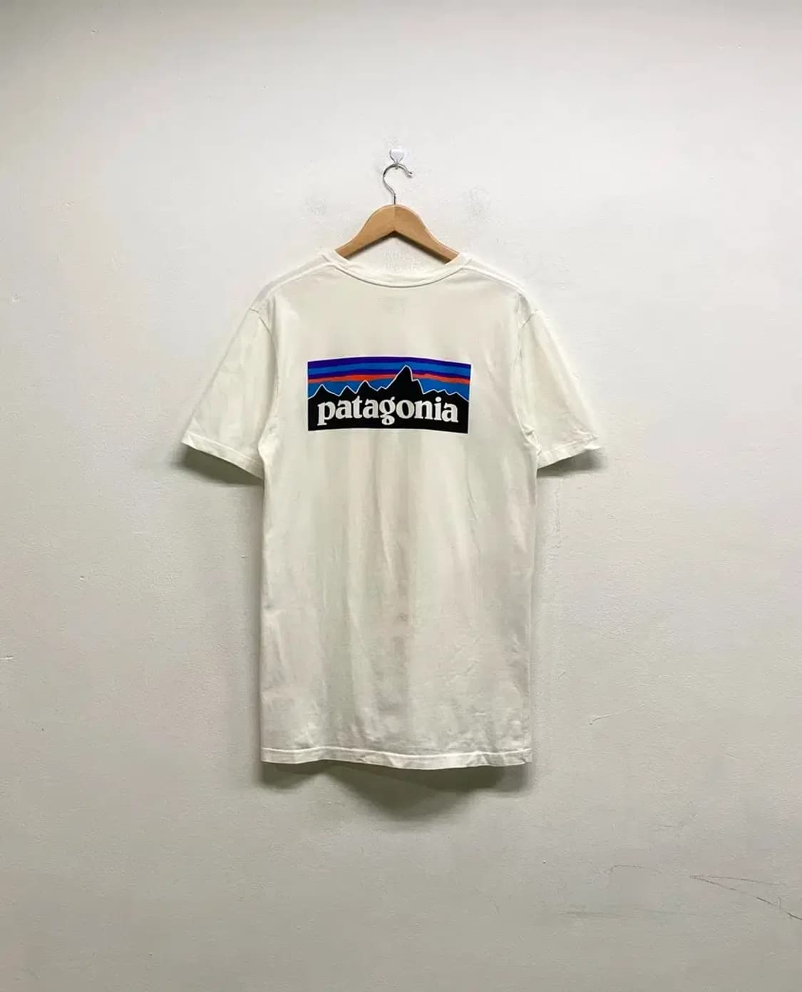 파타고니아 Responsibili-Tee M 상품이미지1