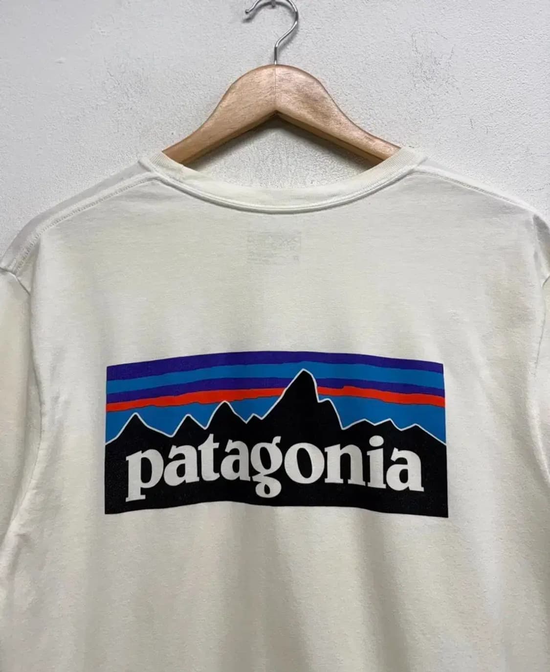 파타고니아 Responsibili-Tee M 상품이미지4