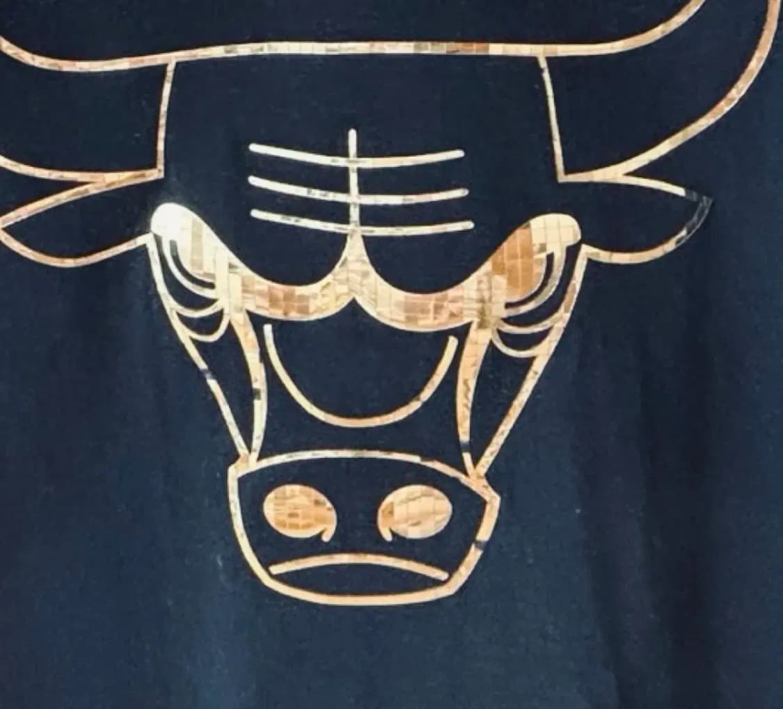 NBA Chicago Bulls 골드 그래픽 티셔츠 S 상품이미지6