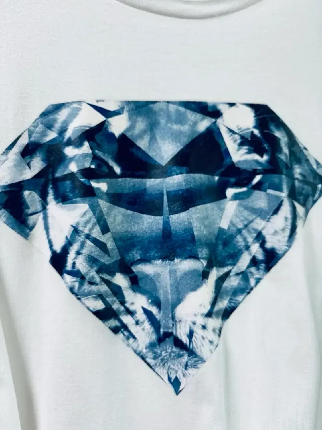 오니츠카타이거 OnitsukaTiger 타이거 그래픽 티셔츠L-XL 상품이미지2