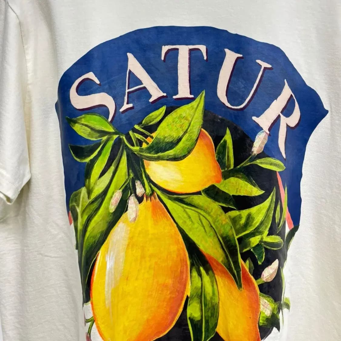 세터 Satur 레트로 레몬 프린팅 반팔 T-Shirt M-L 상품이미지3