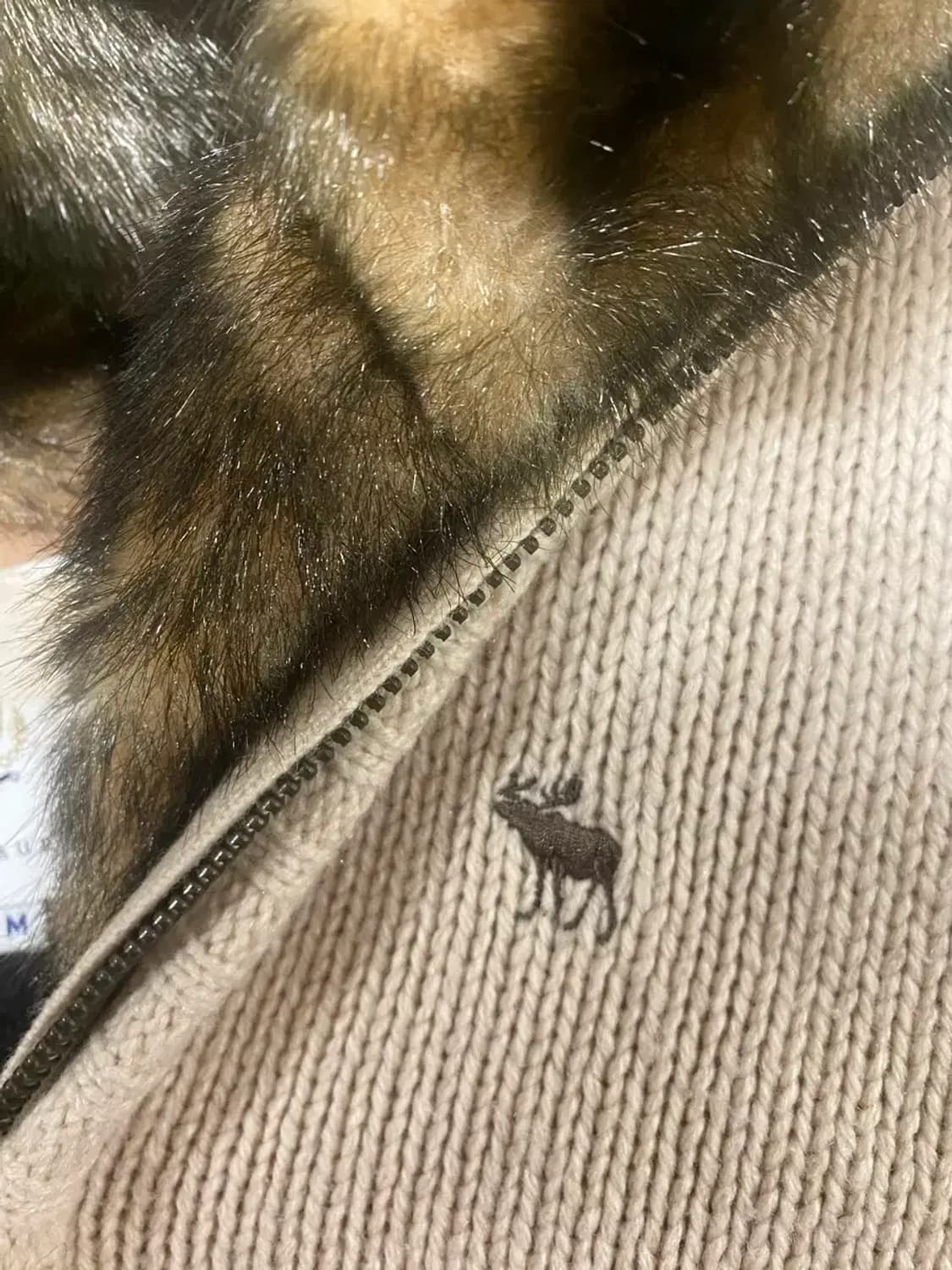 아베크롬비 토끼퍼 집업 가디건 XS 상품이미지2