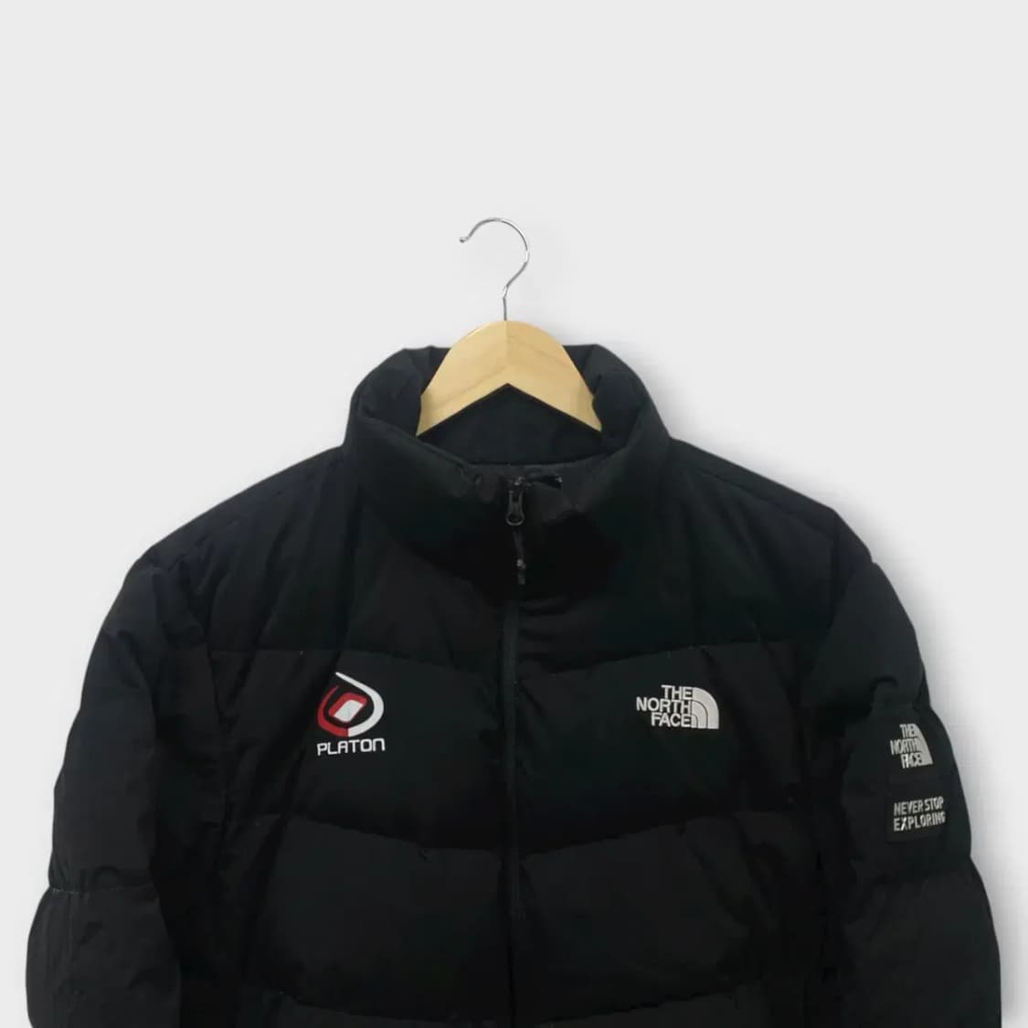 노스페이스 PLATON 구스다운 2XL 상품이미지4