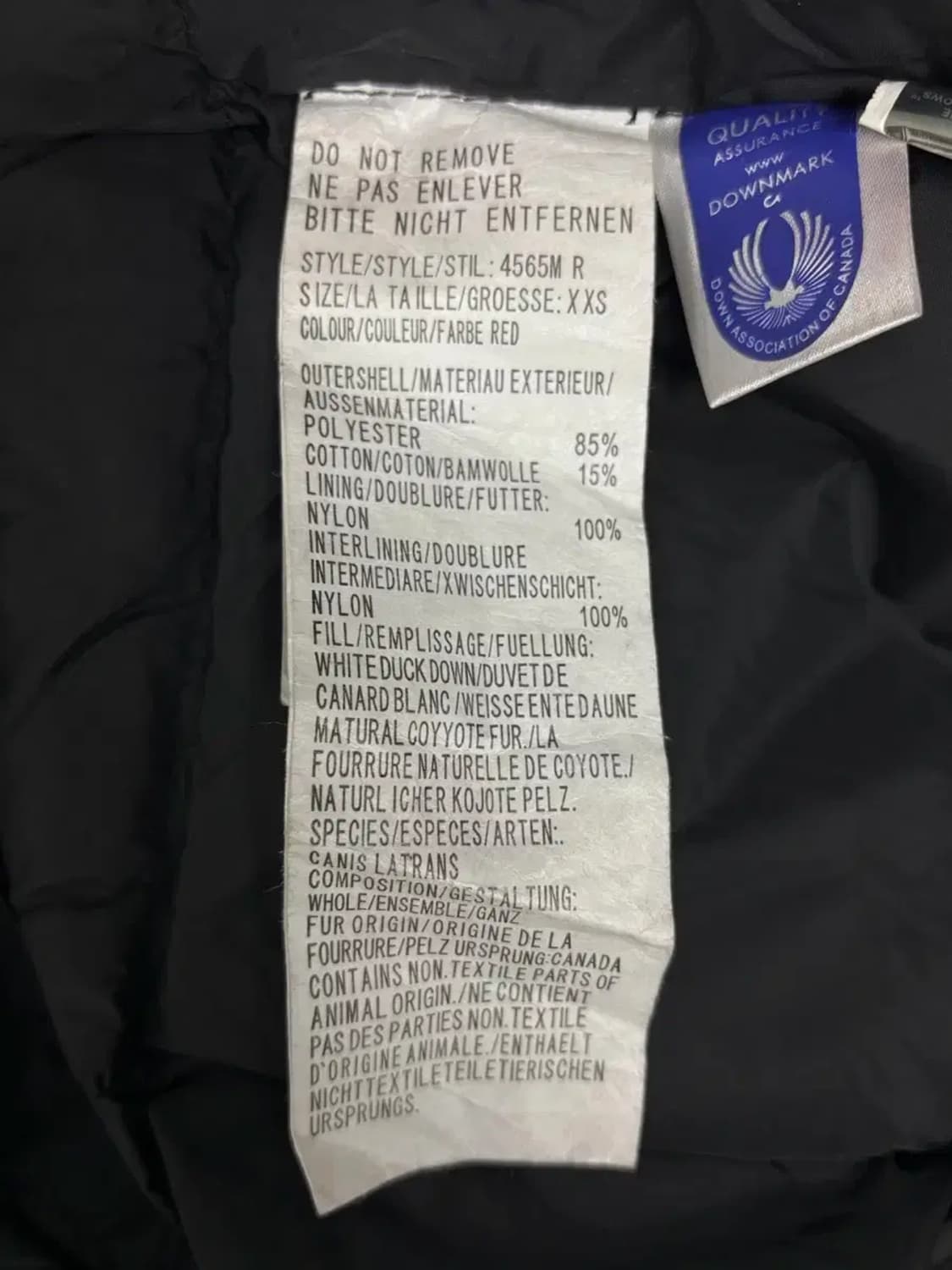 캐나다 구스 익스페디션 파카 레드패딩 L 상품이미지8