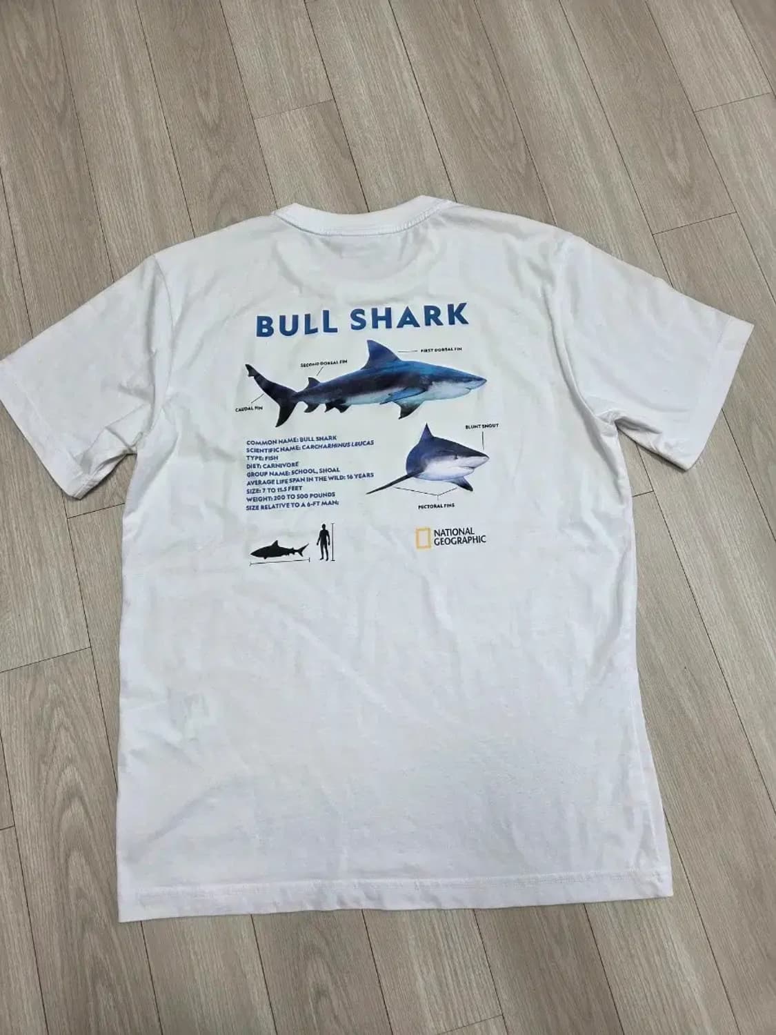 내셔널지오그래픽 반팔티셔츠 상품이미지3