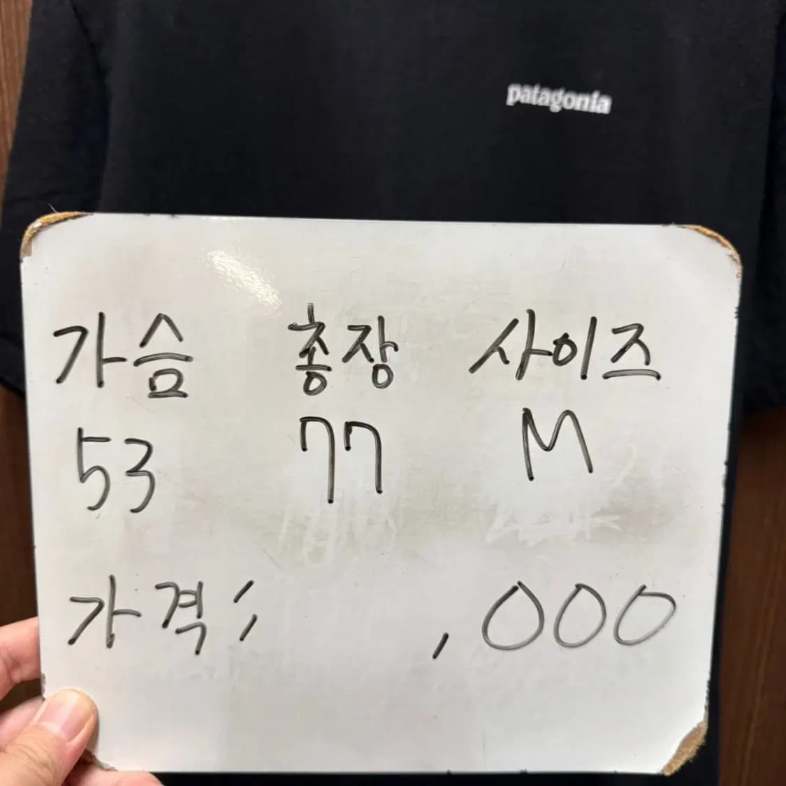 파타고니아 반팔티셔츠 상품이미지4