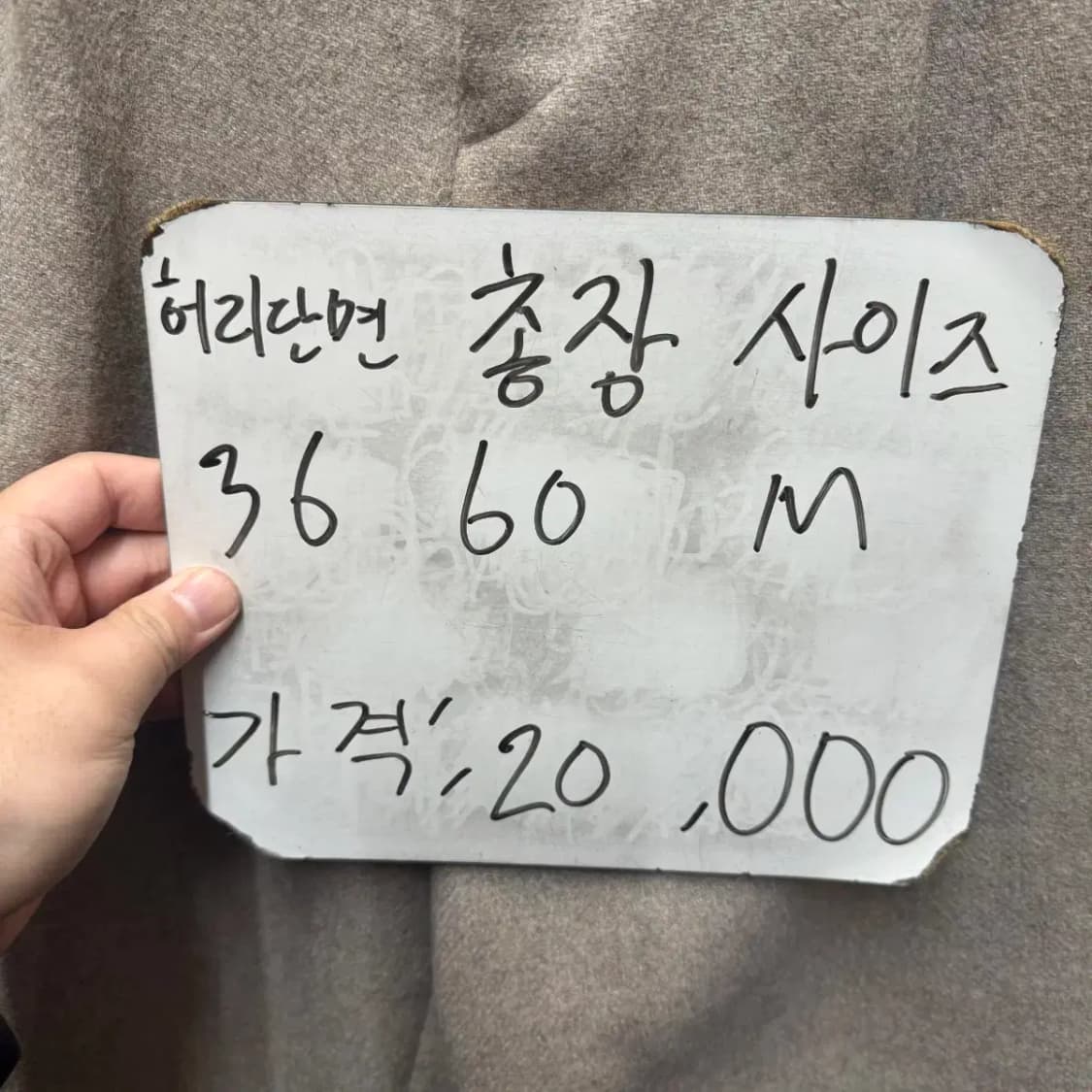 MUYBIEN 울혼방 반바지 상품이미지5