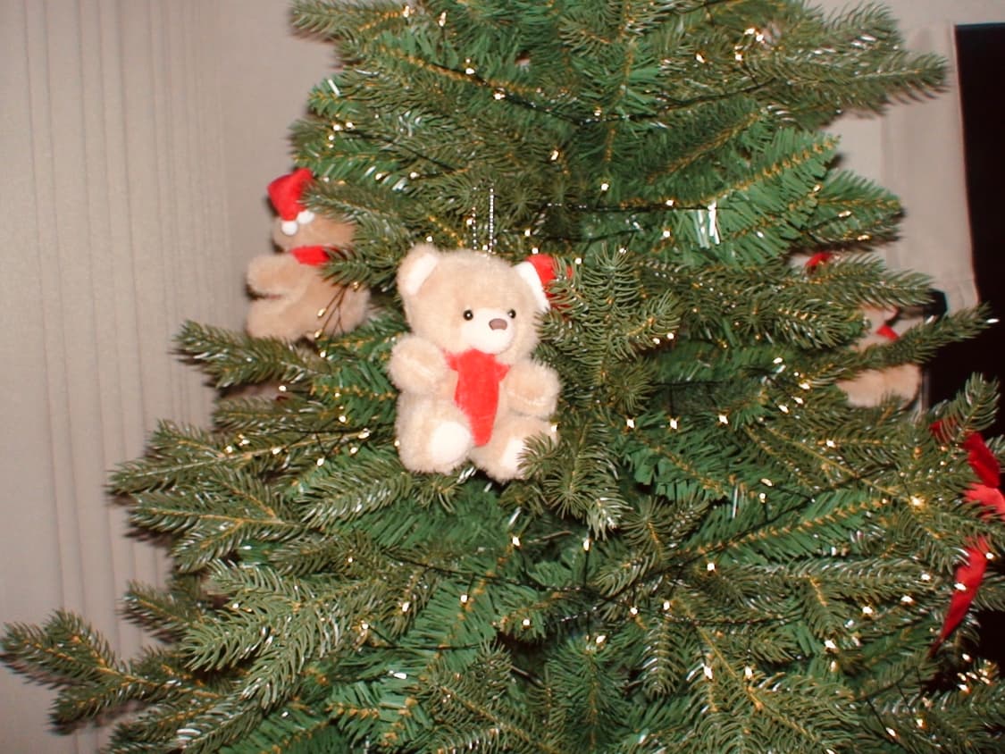 Sony HDR-SR1 / 소니 캠코더 / 빈티지 캠코더  상품이미지7