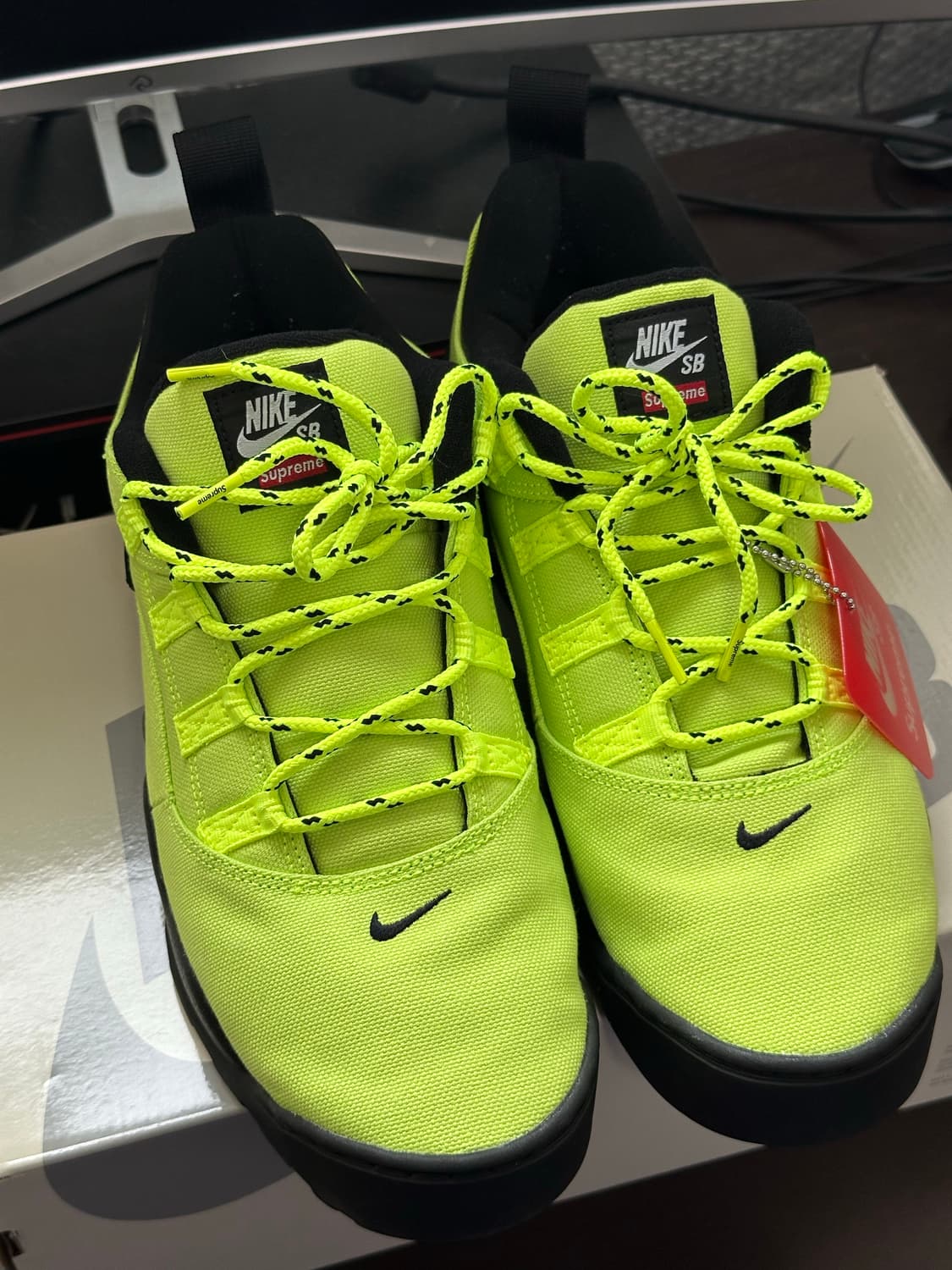 Nike x supreme SB DARWIN LOW  상품이미지3