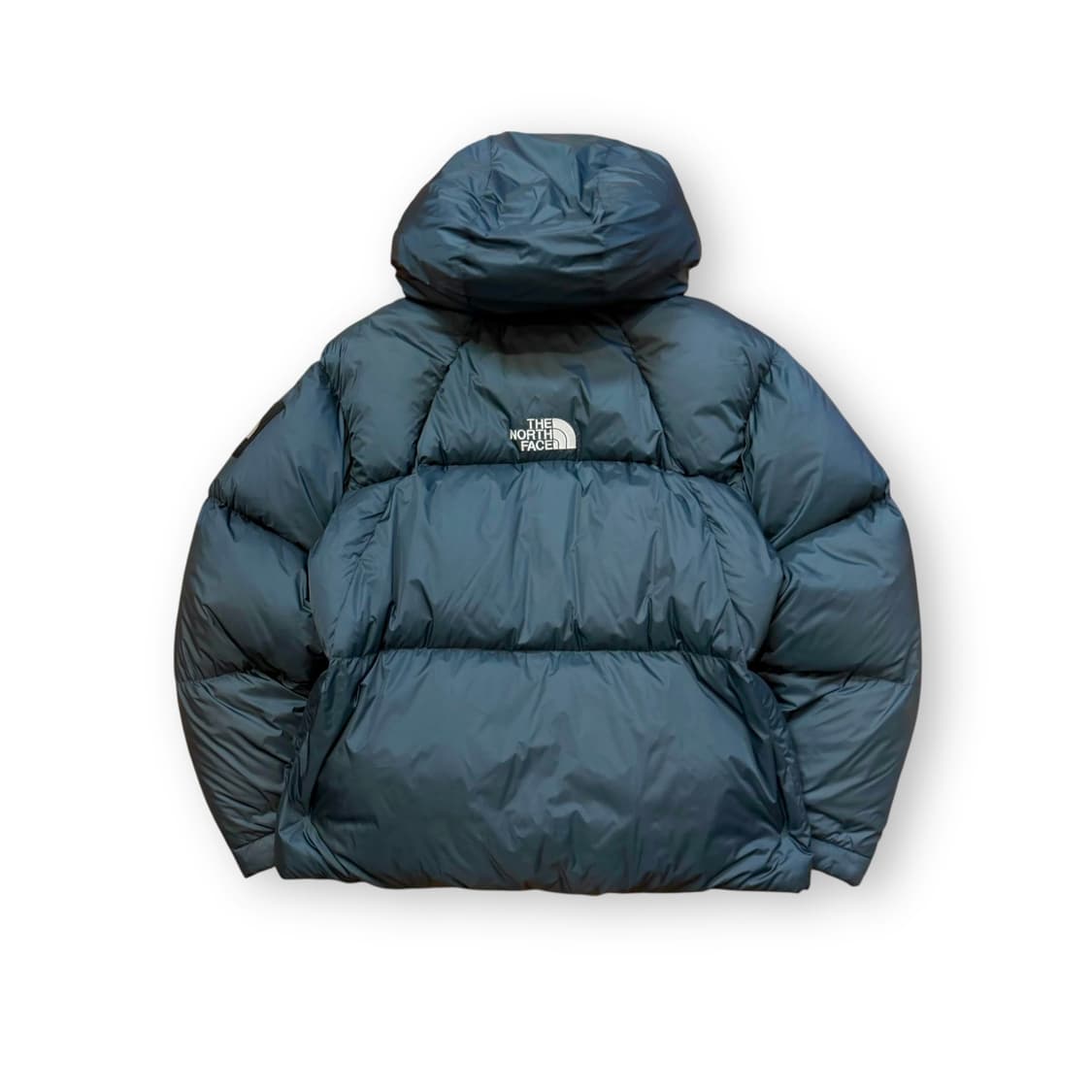 TNF 노스페이스 프로젝트 RDS 더스크 블루 다운 자켓 상품이미지2
