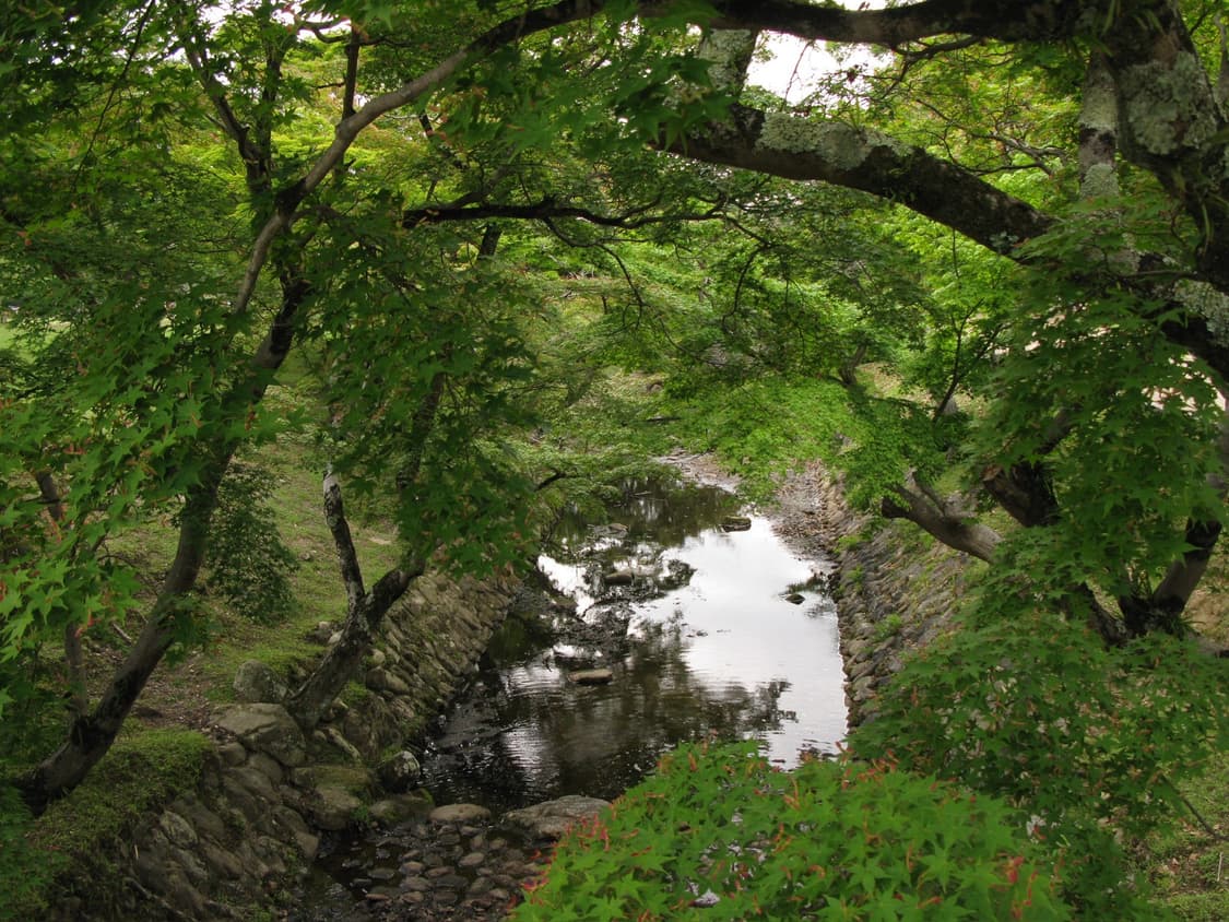 캐논 파워샷 g9 상품이미지10