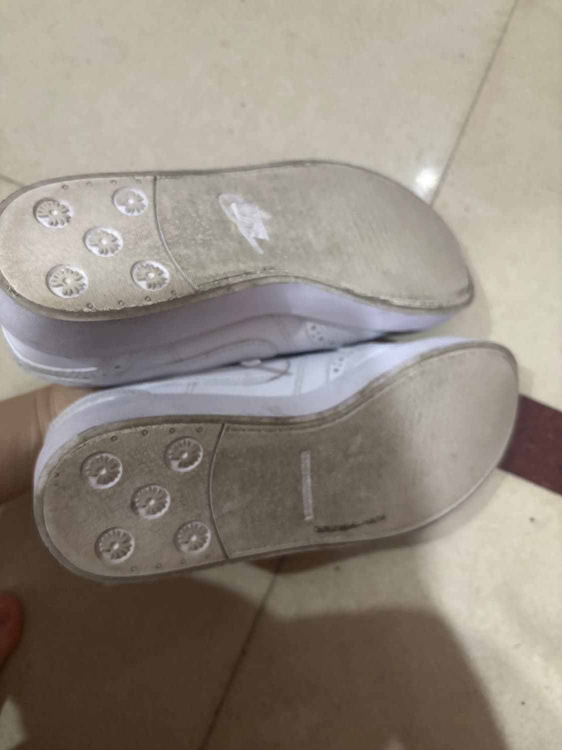 피마원 퀀도 팝니다 상품이미지3