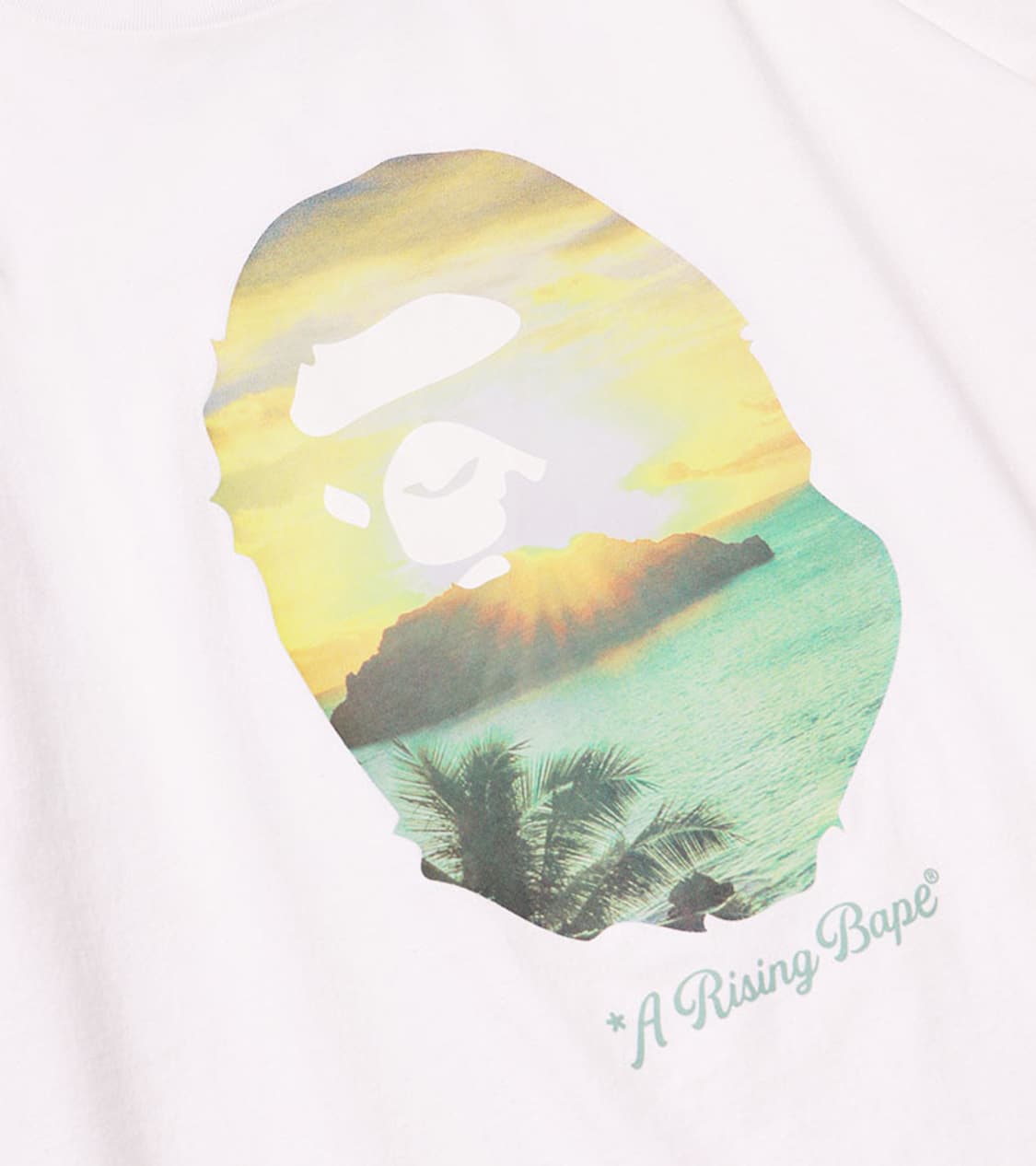 BAPE - A RISING BAPE PHOTO T SHIRT 상품이미지7