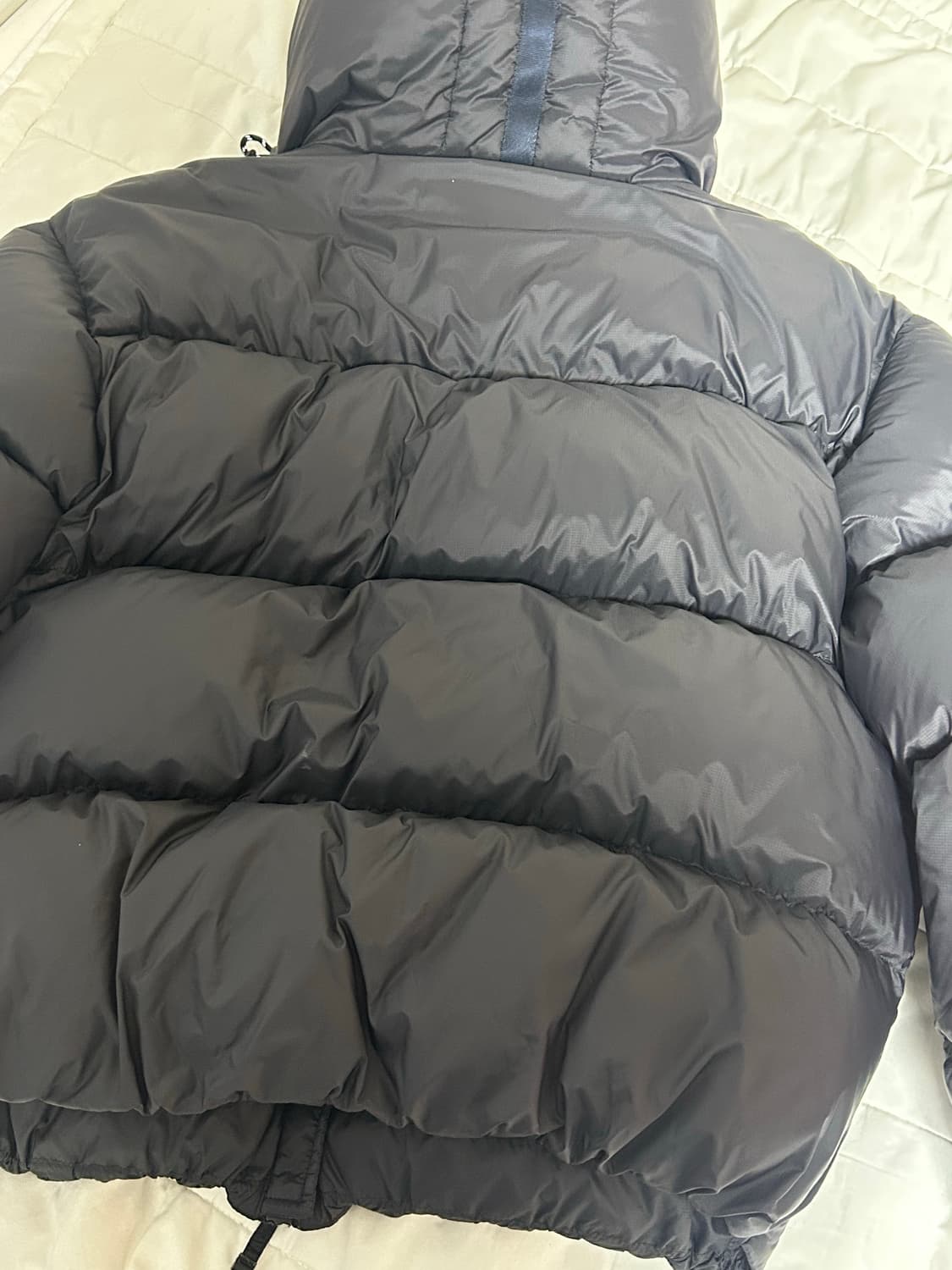 파점 파라점퍼스 안야 패딩 - 펜슬색깔 상품이미지4