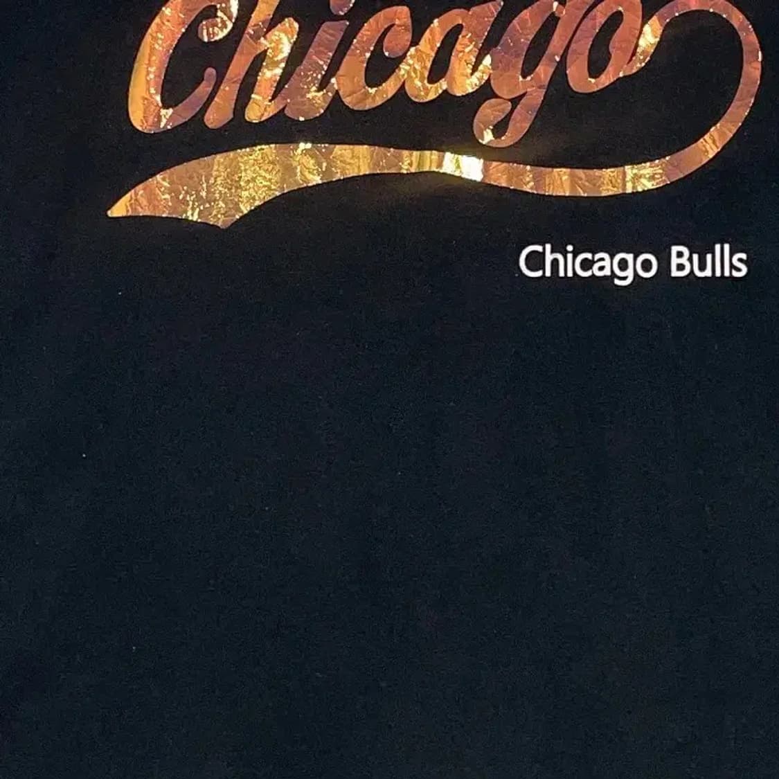 NBA 시카고불스 단가라 브이넥 반팔티 S 상품이미지5