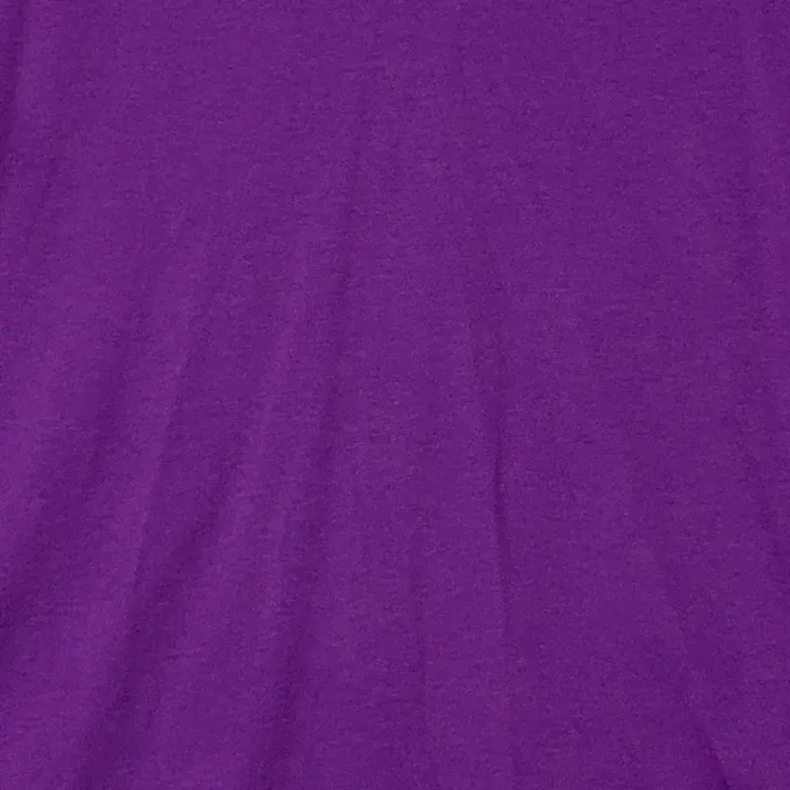 노스페이스 퍼플 로고 기능성 반팔 티 L/100 상품이미지4