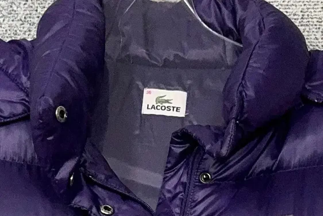 라코스테 퍼플 로고 구스다운 패딩 36 상품이미지5