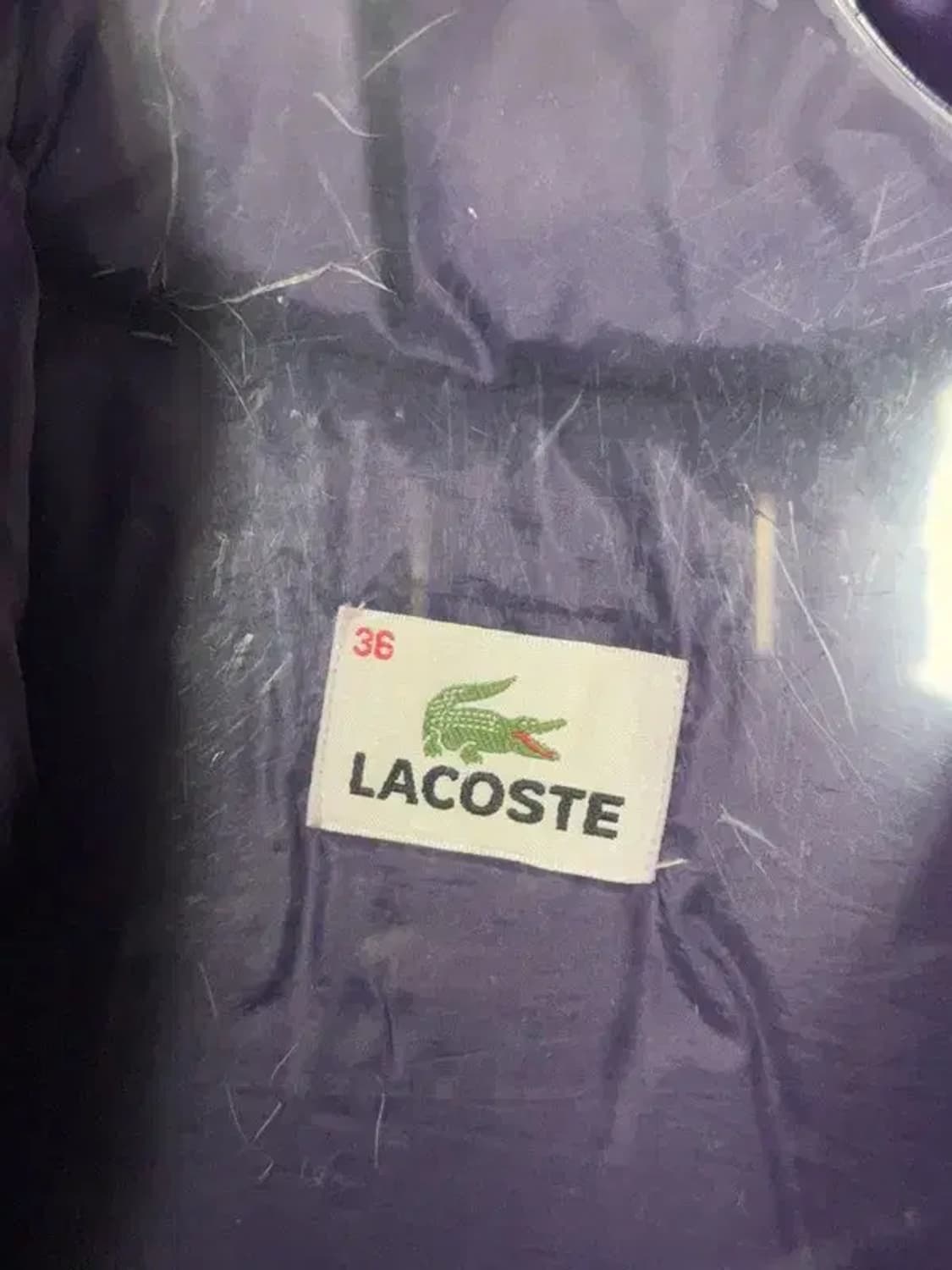 라코스테 퍼플 로고 구스다운 패딩 36 상품이미지7