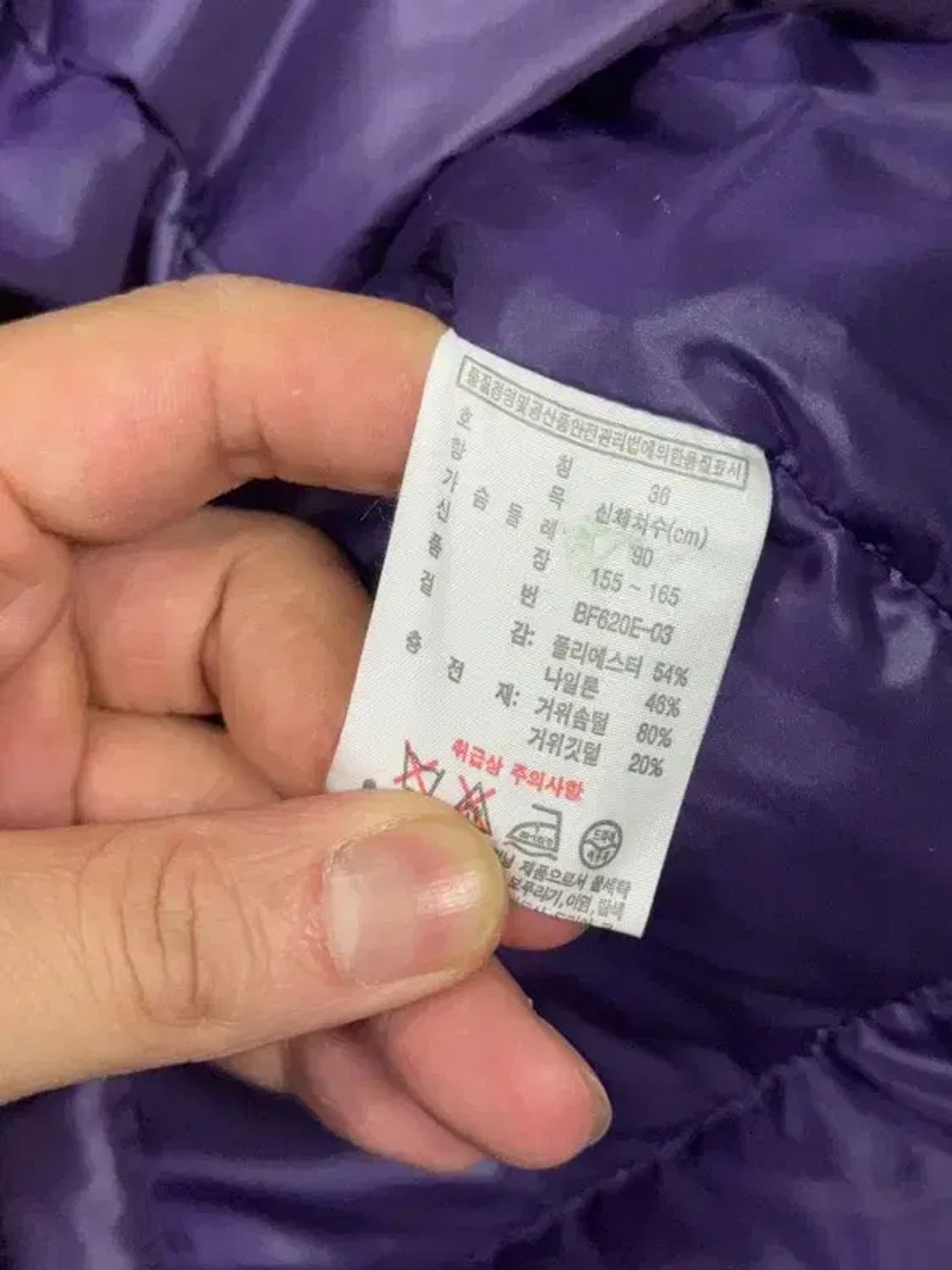 라코스테 퍼플 로고 구스다운 패딩 36 상품이미지8