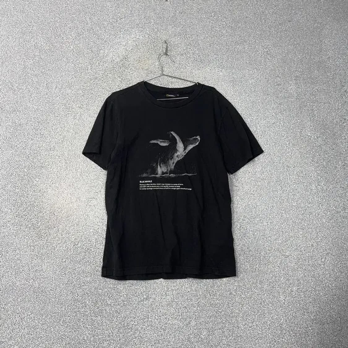 내셔널지오그래픽 흰수염 고래 프린팅 반팔티 XL 상품이미지1
