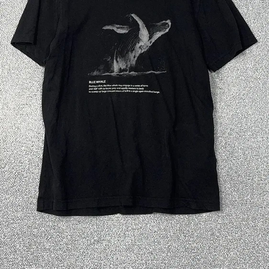 내셔널지오그래픽 흰수염 고래 프린팅 반팔티 XL 상품이미지4