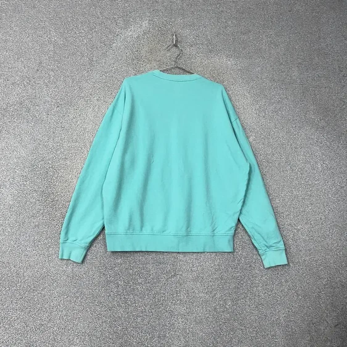 널디 프린팅 민트 스웻셔츠 맨투맨 L 상품이미지2