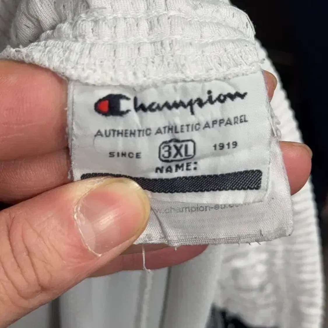 챔피온 트렁크 운동 오버핏 반바지 3XL 상품이미지5