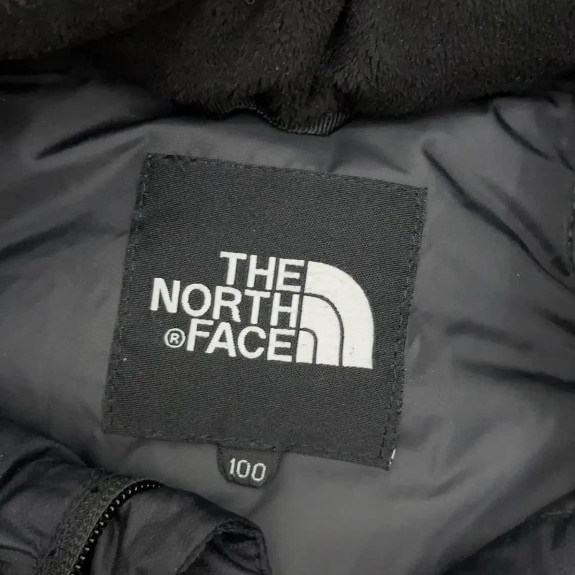 노스페이스 700 하이벤트 구스다운 100 상품이미지4
