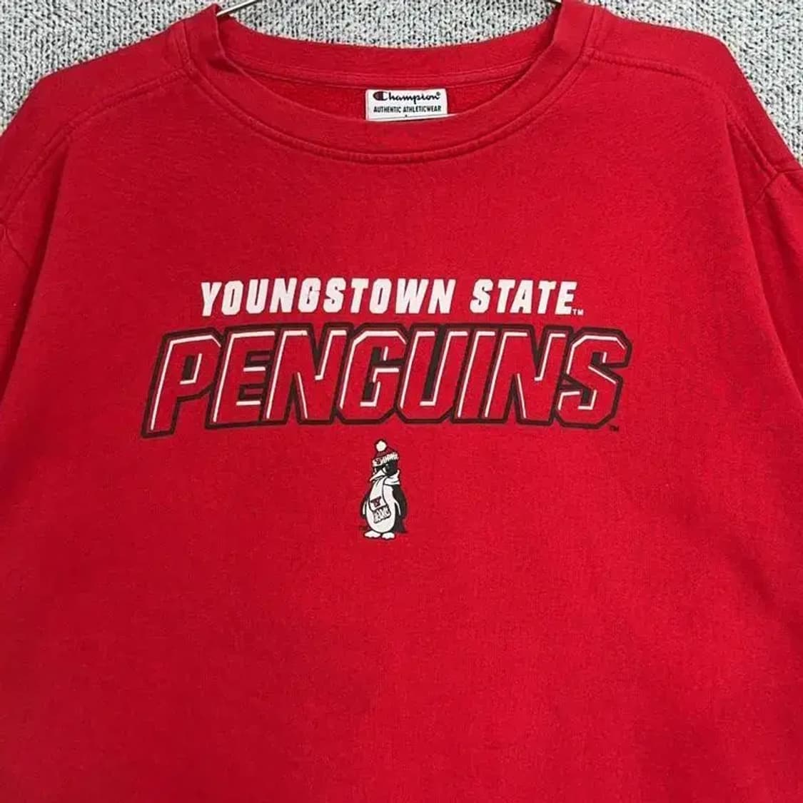 챔피온 빈티지 스웻셔츠 L 상품이미지3