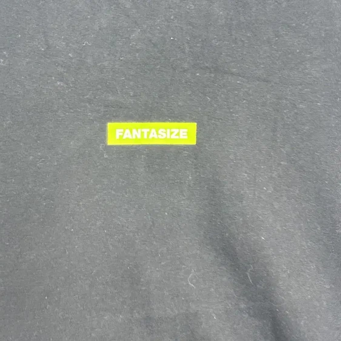 플랙진 빈티지 프린팅 로고 반팔티 S 상품이미지3