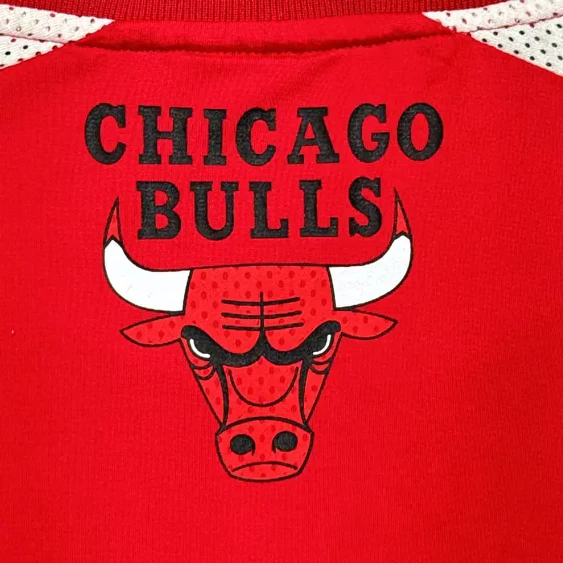 NBA 시카고불스 프린팅 유니폼 저지 L 상품이미지4