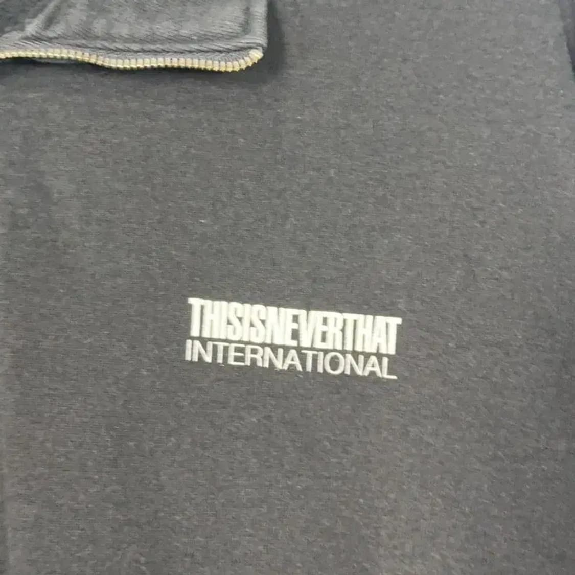 디스이즈네버댓 스펠로고 반집업 맨투맨 L 상품이미지5