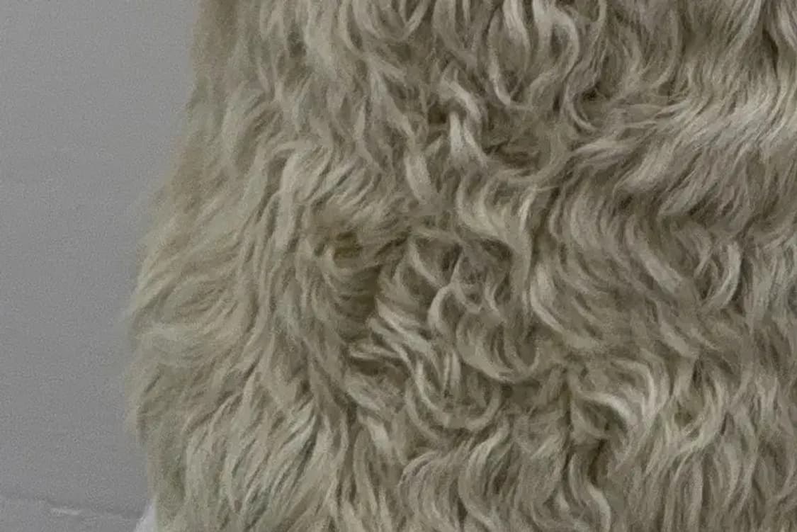 아이보리 리얼 여우털 퍼조끼 F 상품이미지8