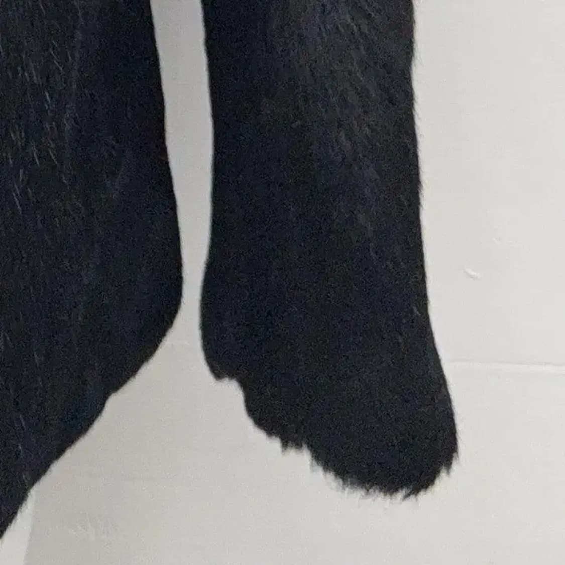 YETT'S 토끼퍼 블랙 퍼자켓 66 상품이미지4