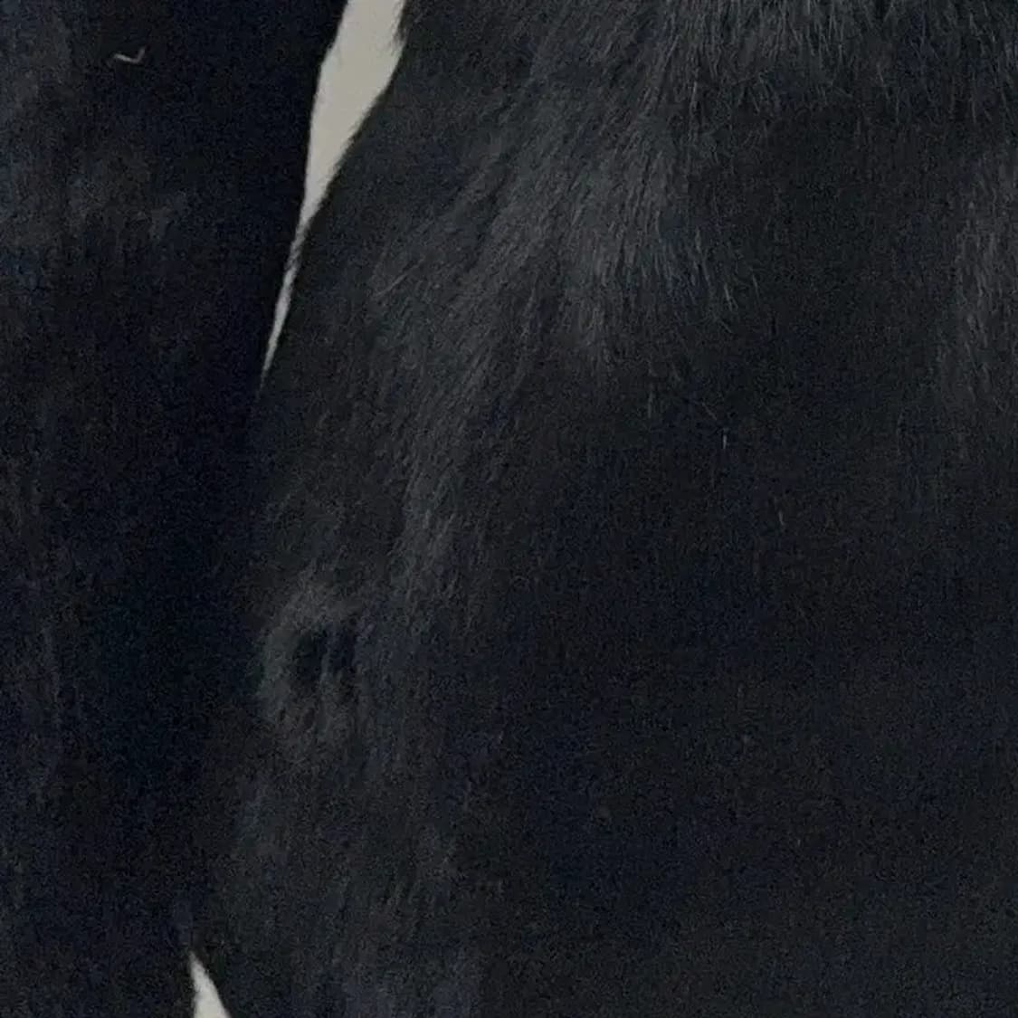 YETT'S 토끼퍼 블랙 퍼자켓 66 상품이미지5