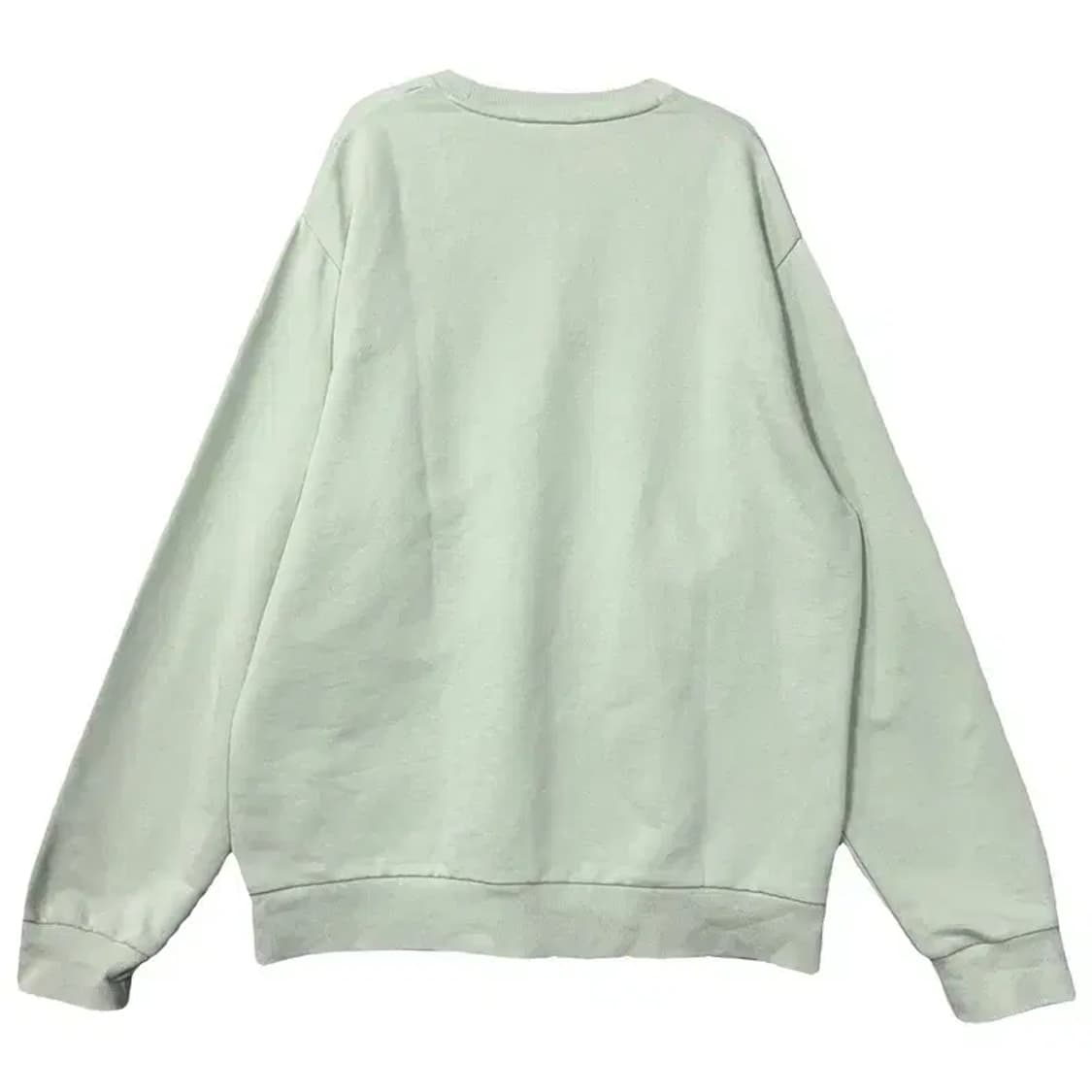 내셔널지오그래픽 라이트 그린 맨투맨 XL(105) 상품이미지2