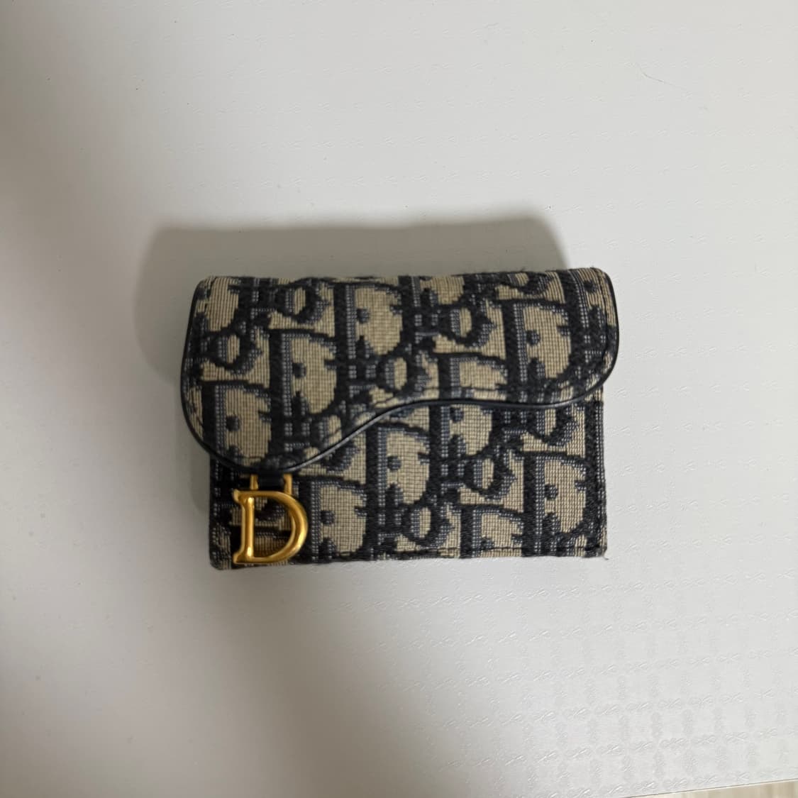 디올 오블리크 새들 카드지갑 상품이미지1