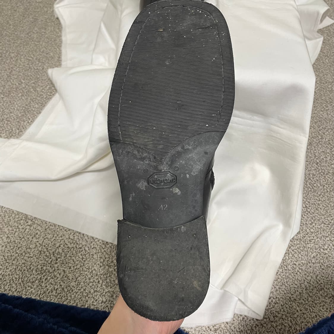 아워레가시 카미온 42 상품이미지6