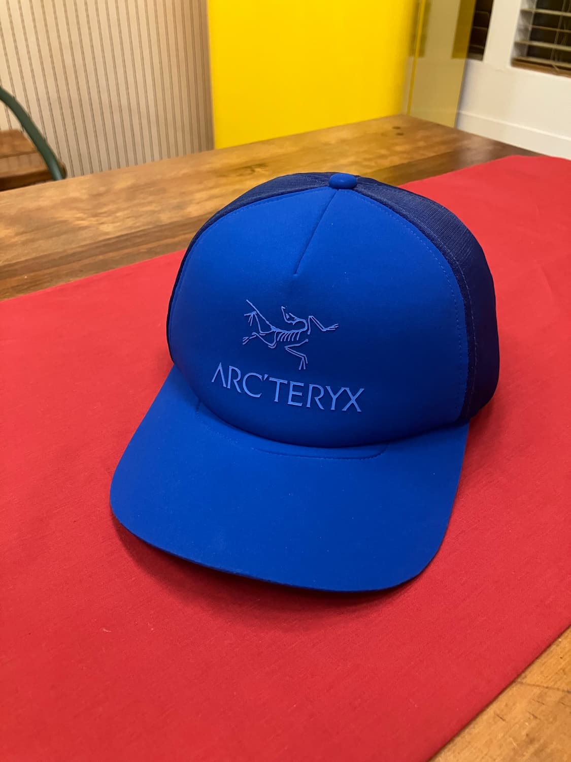 아크테릭스 모자 블루 상품이미지3