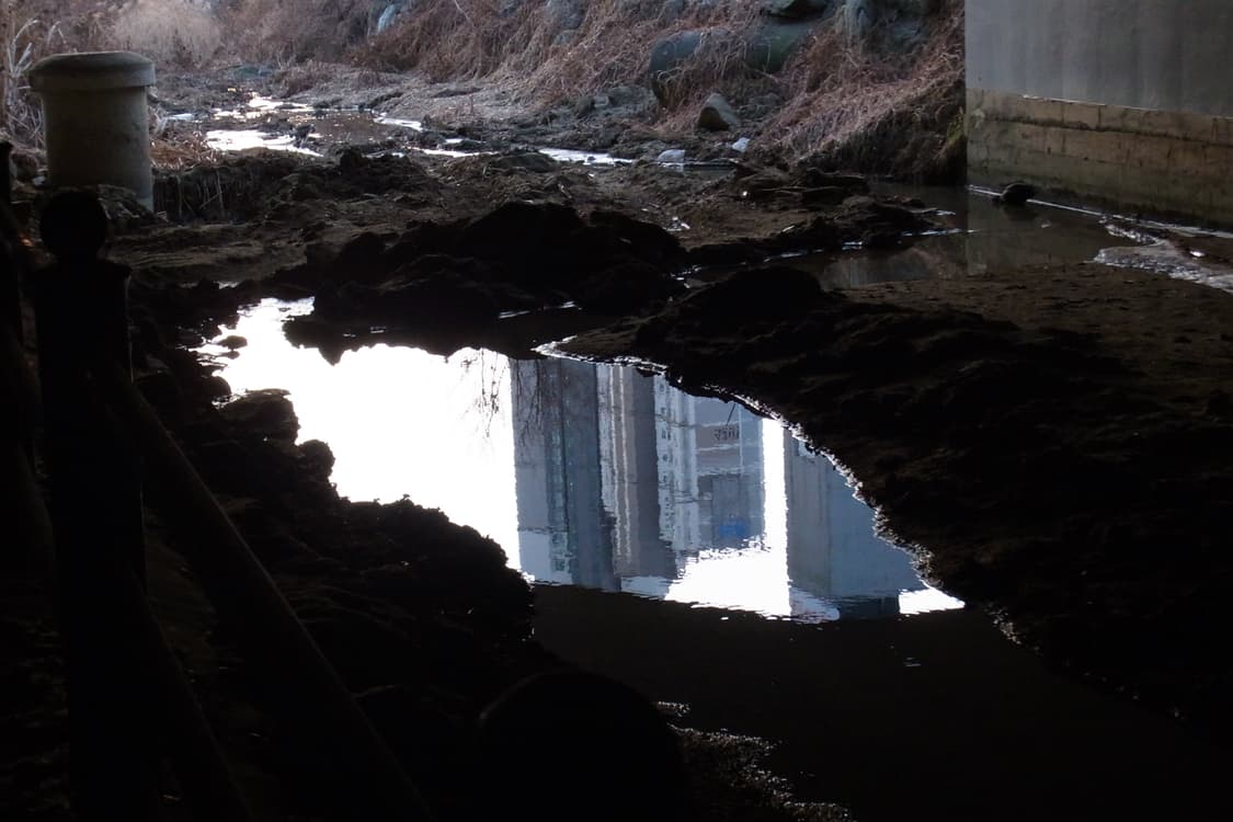 Ricoh(리코) cx4 메탈실버 상품이미지10