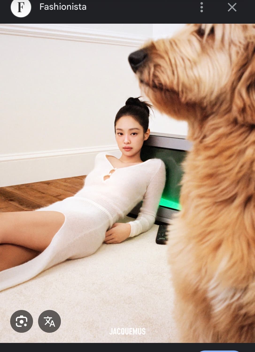 제니 자크뮈스 홀리데이 la maille pralu 가디건 상품이미지4