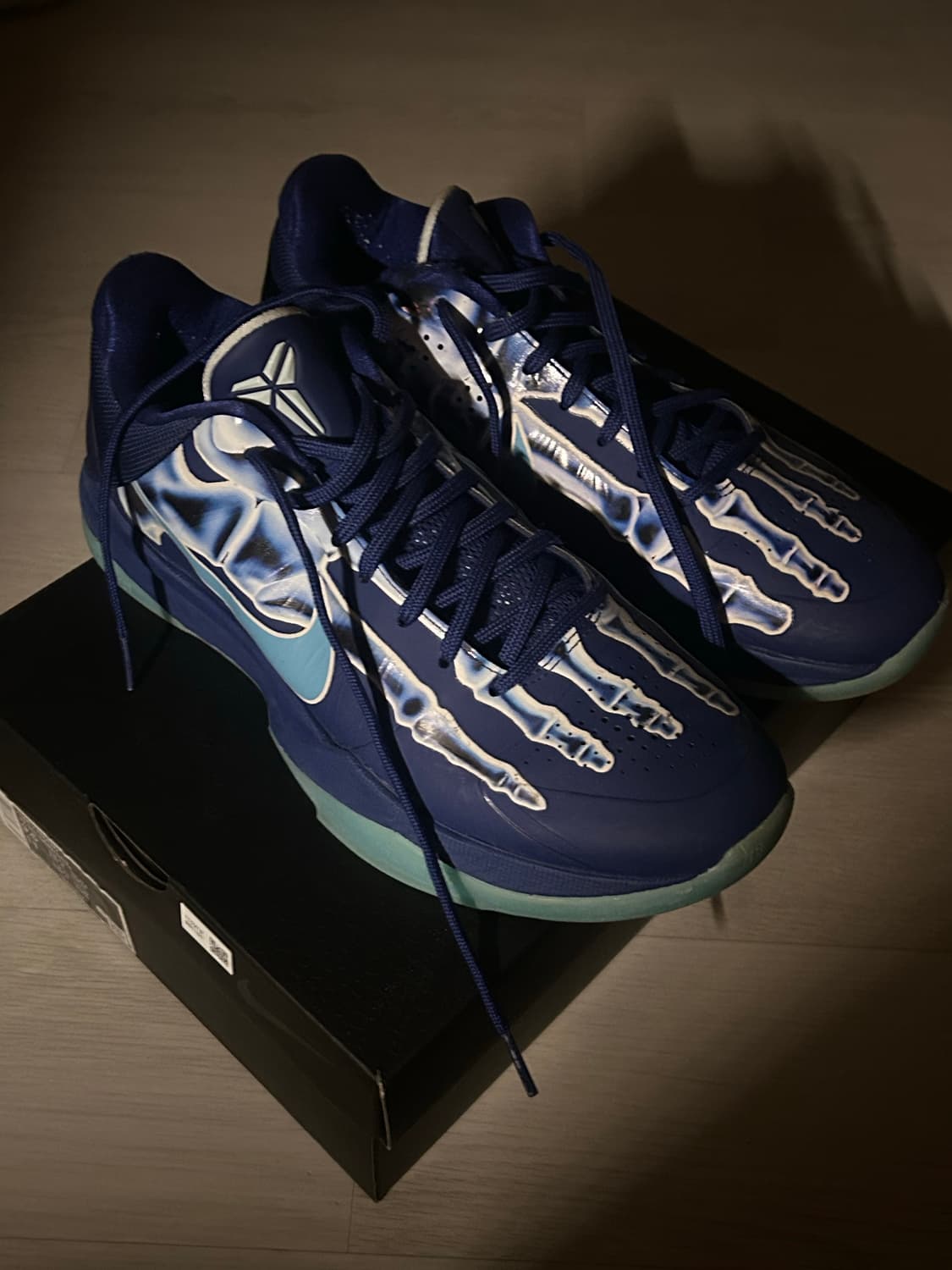 코비 5 프로트로 x-ray 판매 (275) 상품이미지2