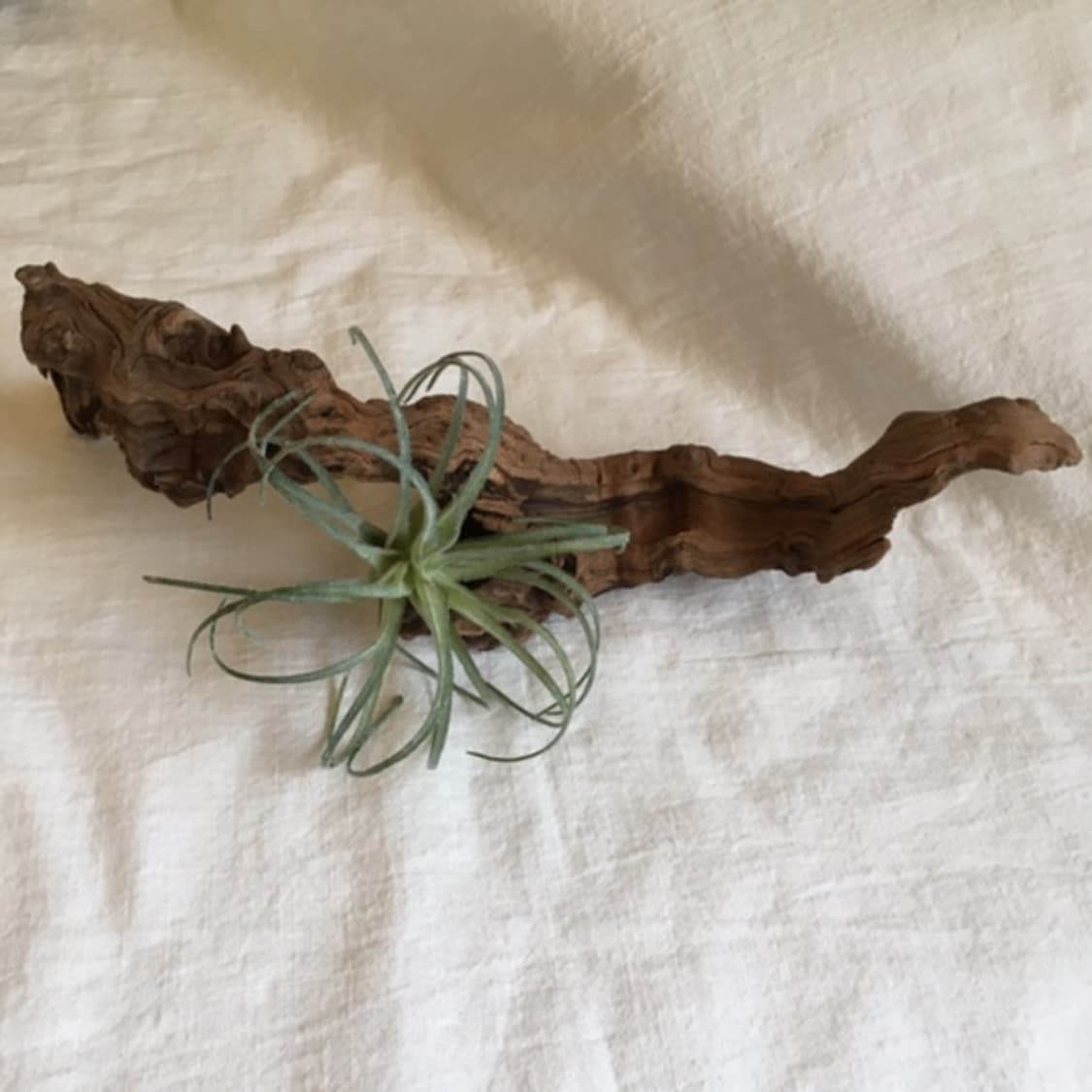 wood object 020 상품이미지1