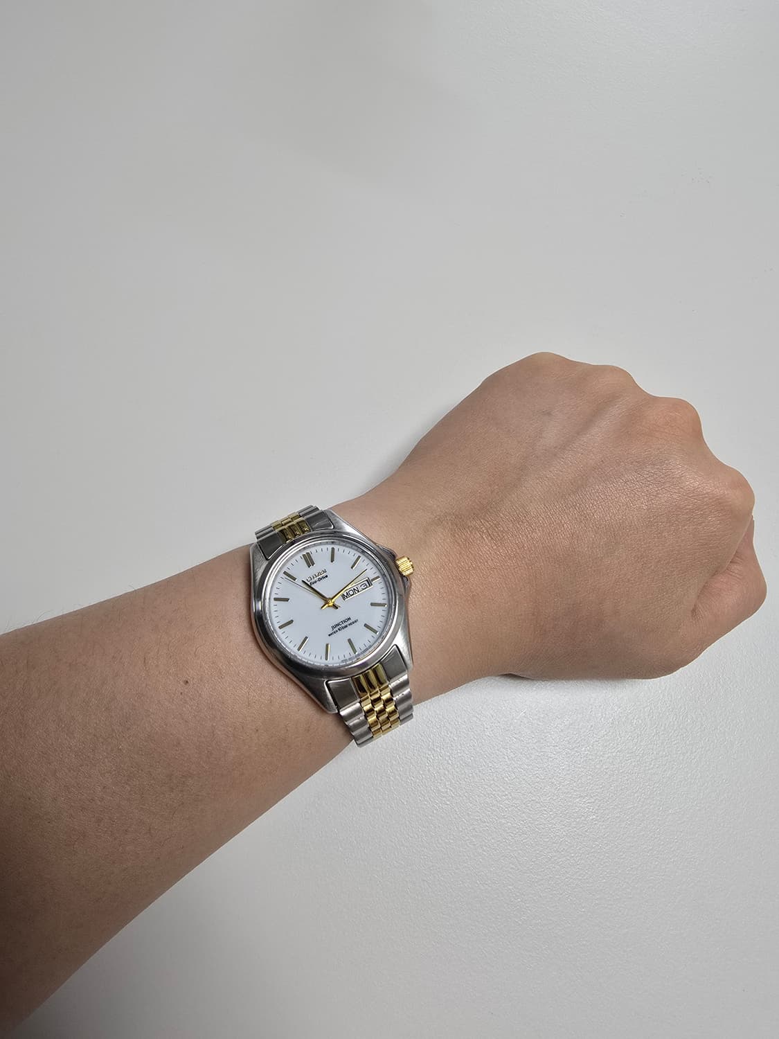 시티즌 에코드라이브 junction 데이데이트 콤비 상품이미지6